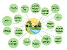 journée internationale de la biodiversité geraldine fargeau nutritionniste diététicienne bordeaux